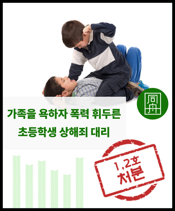 청소년상해가해대리